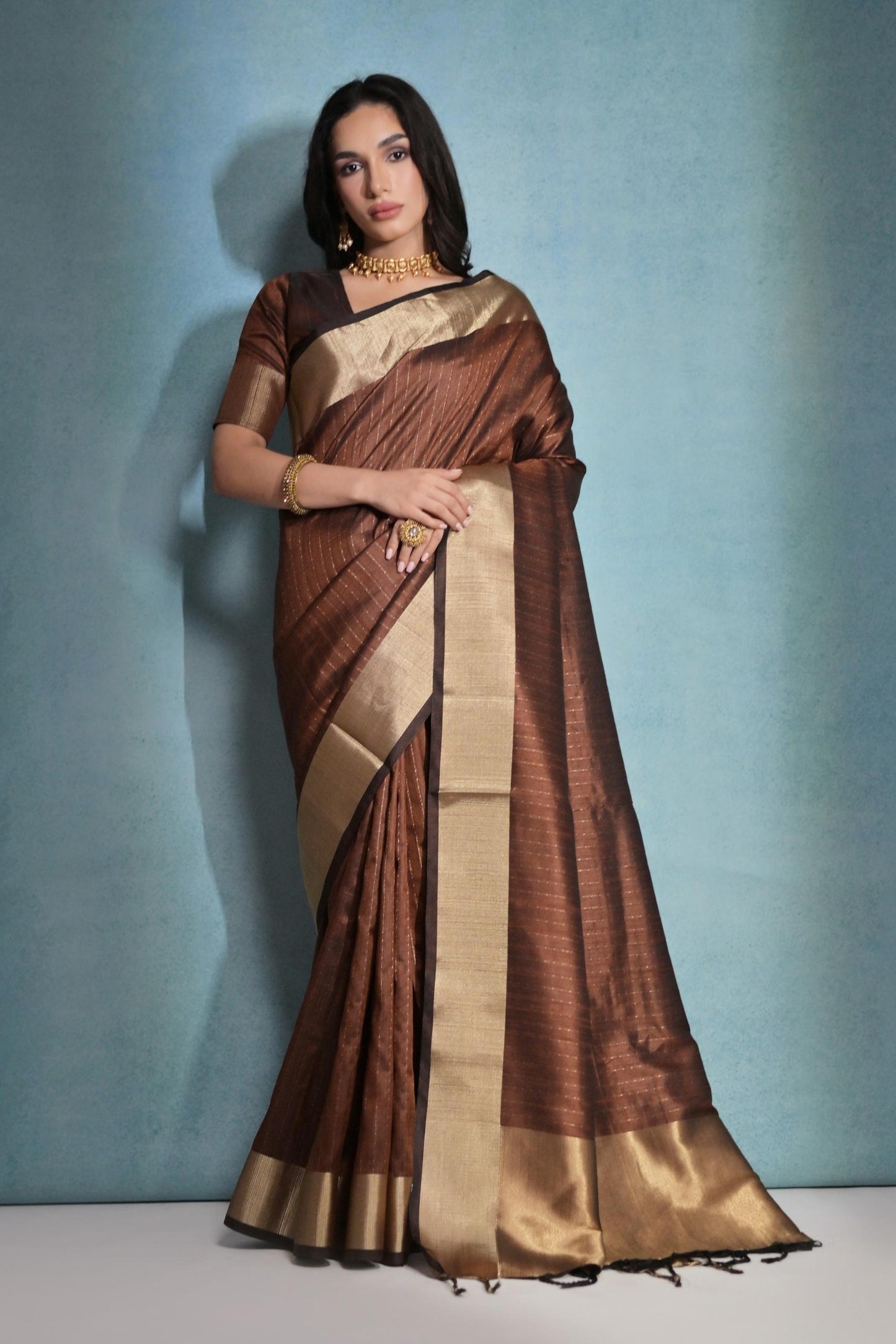 Raw Silk Dot | Premium Banarasi Raw Silk Saree with Zari Detail