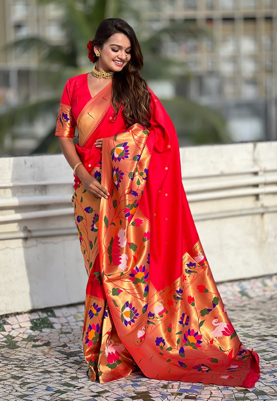 Elegant Paithani